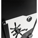 DOMINATOR SAFES FX-140 FIRE / BURGLARY SAFE
